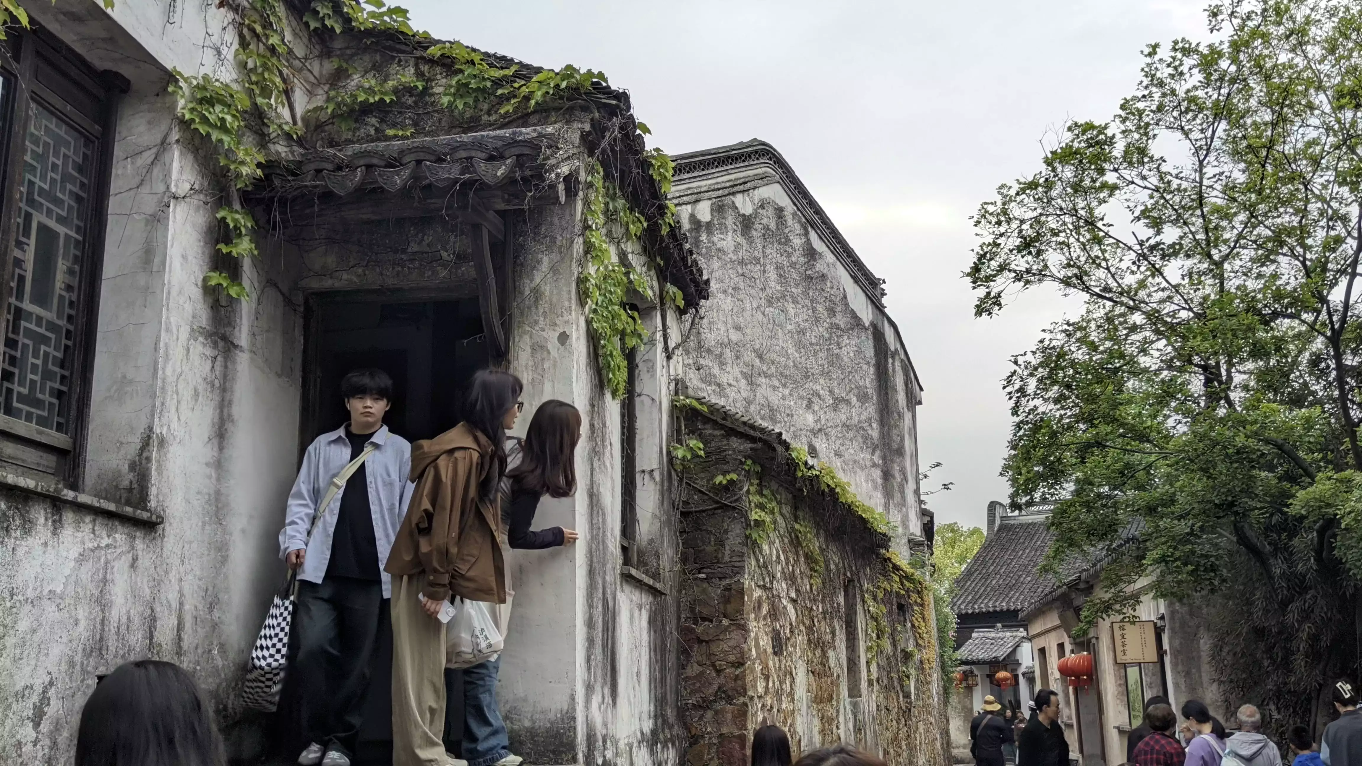 4bd297709d7e1719458c54a3f7da6a6