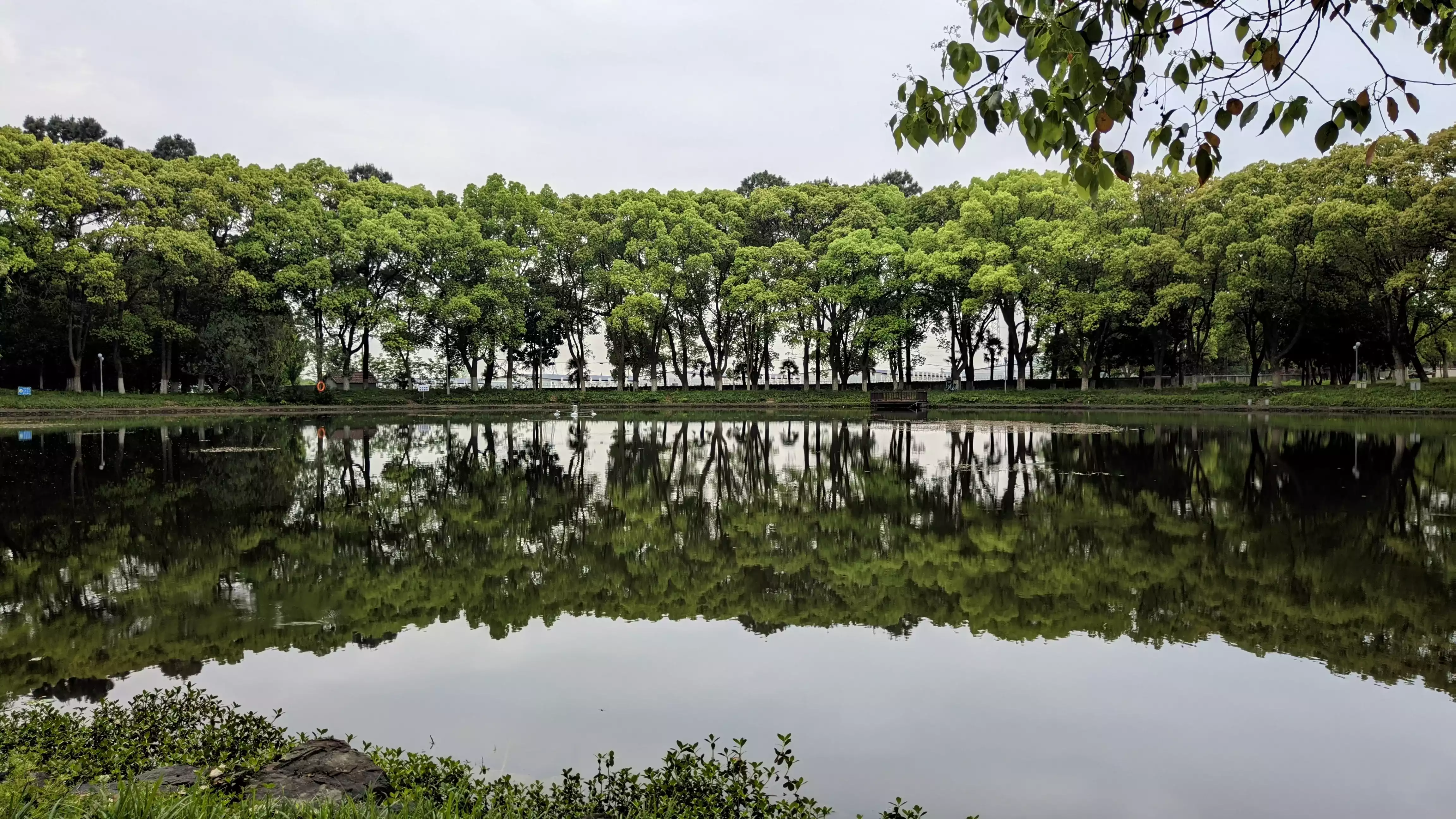 6190d3519344e2a694f7f9a82557e02