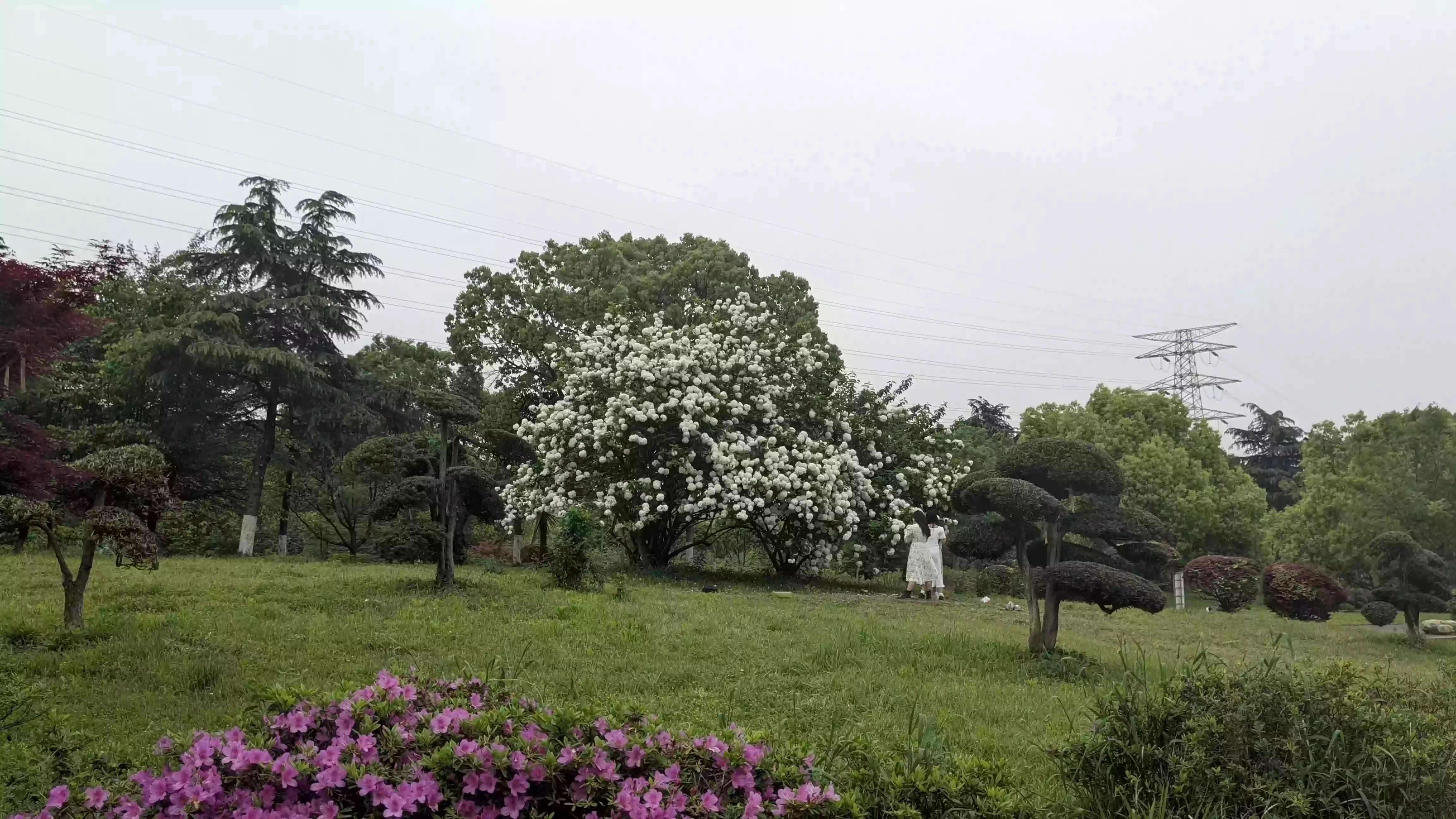 858a9325d1b79c50c68c25020991c34