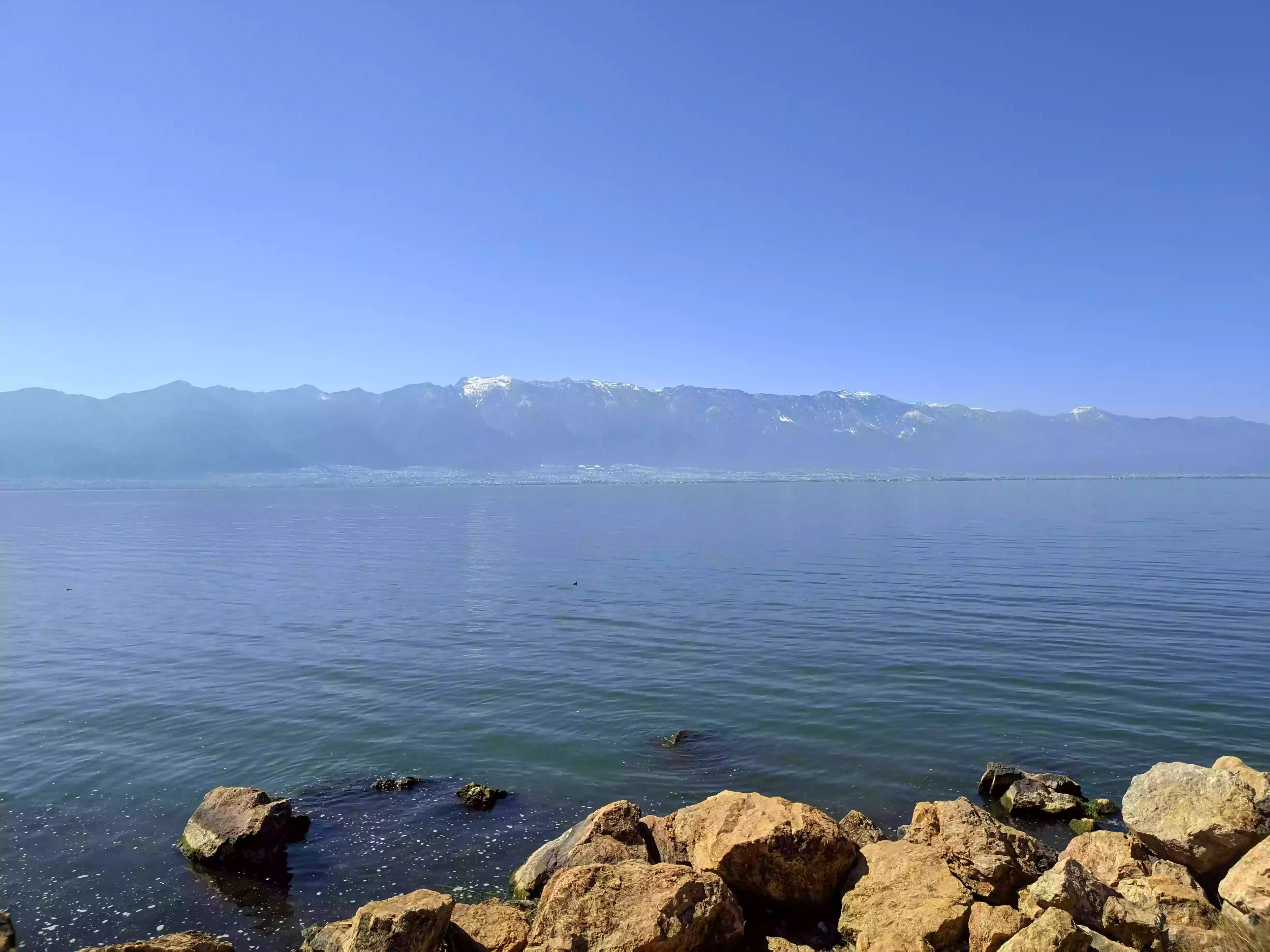 CRnall_20240213_141837716