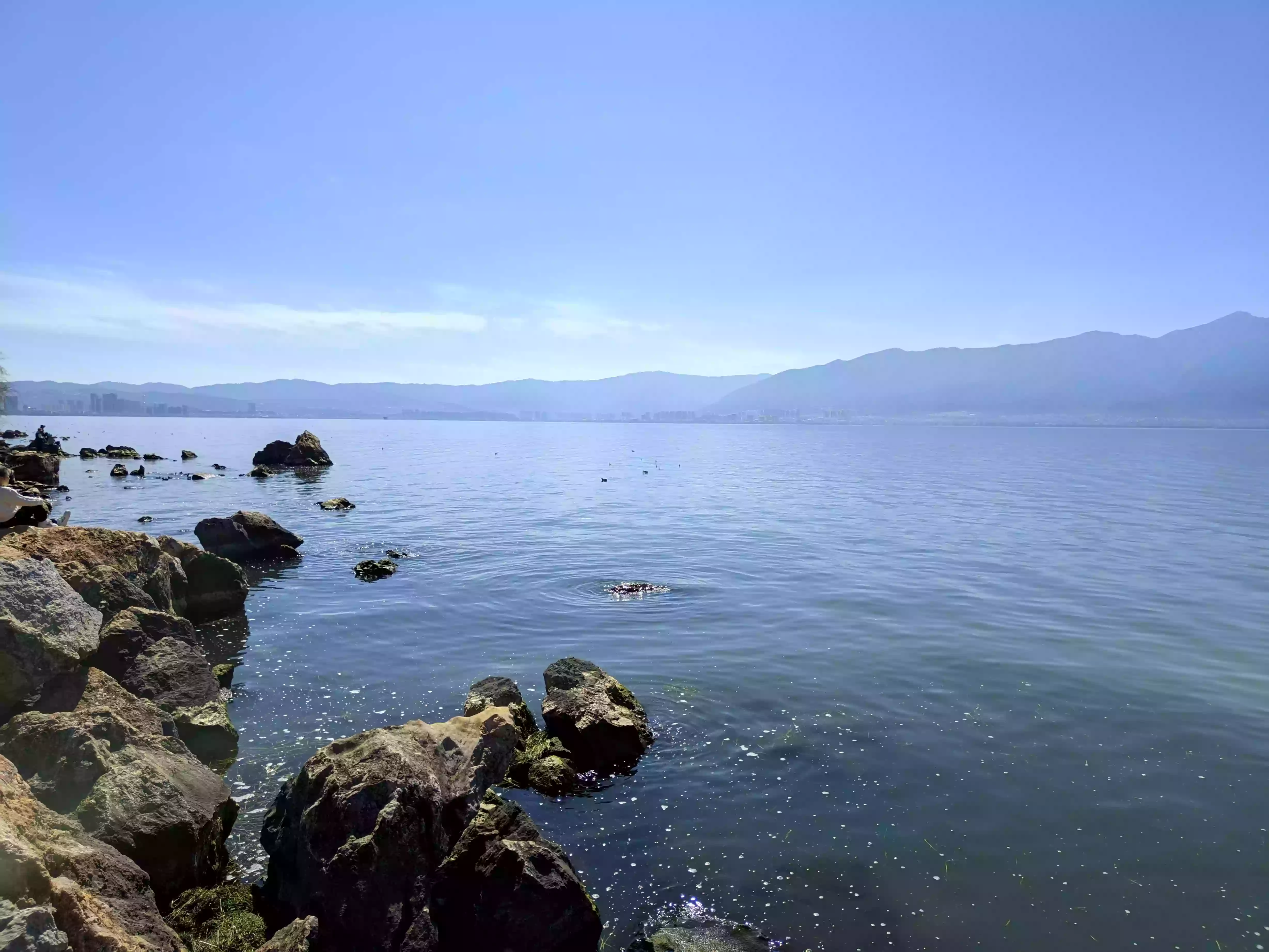 CRnall_20240213_142643827