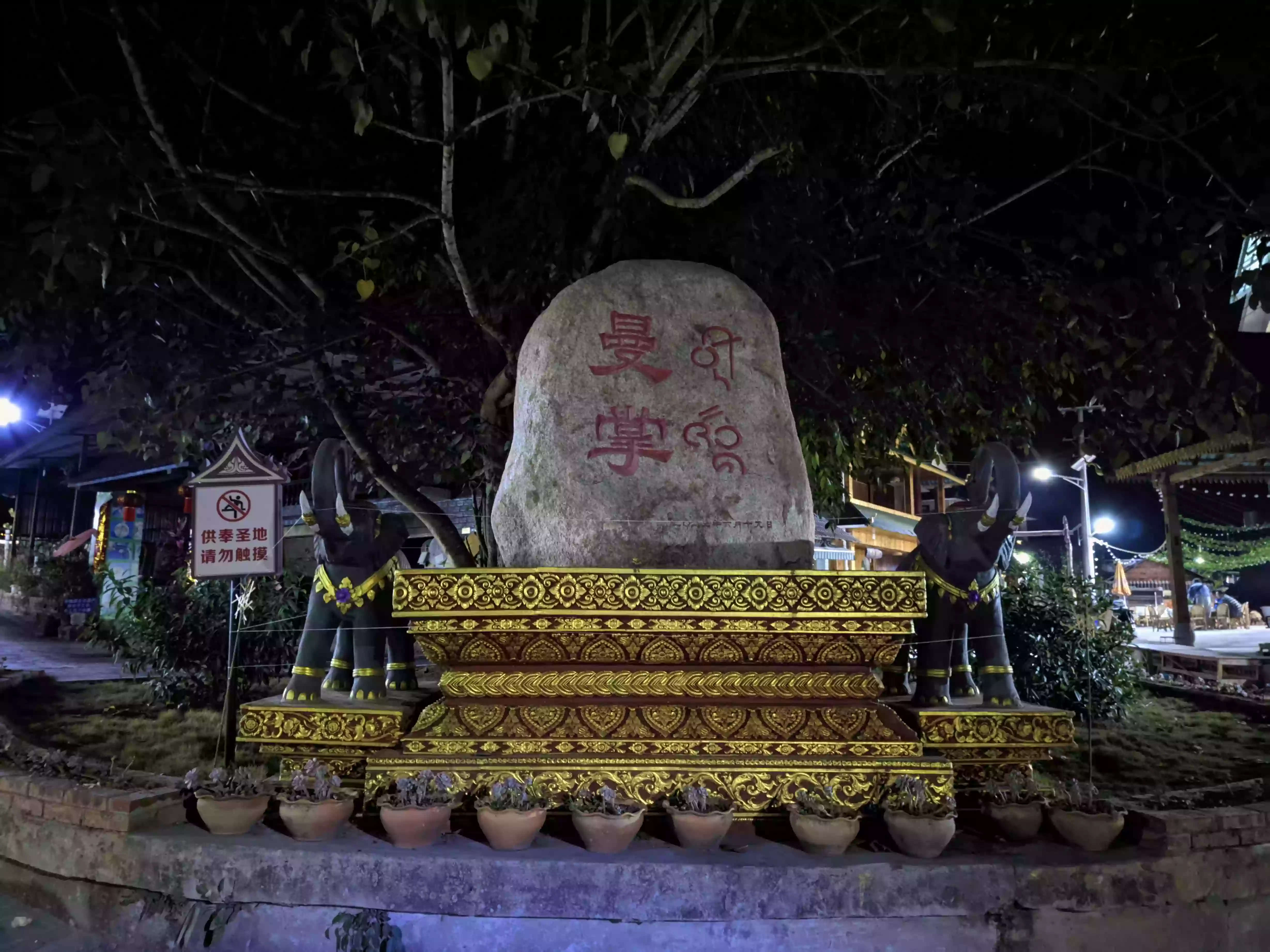 CRnall_20240214_205348469