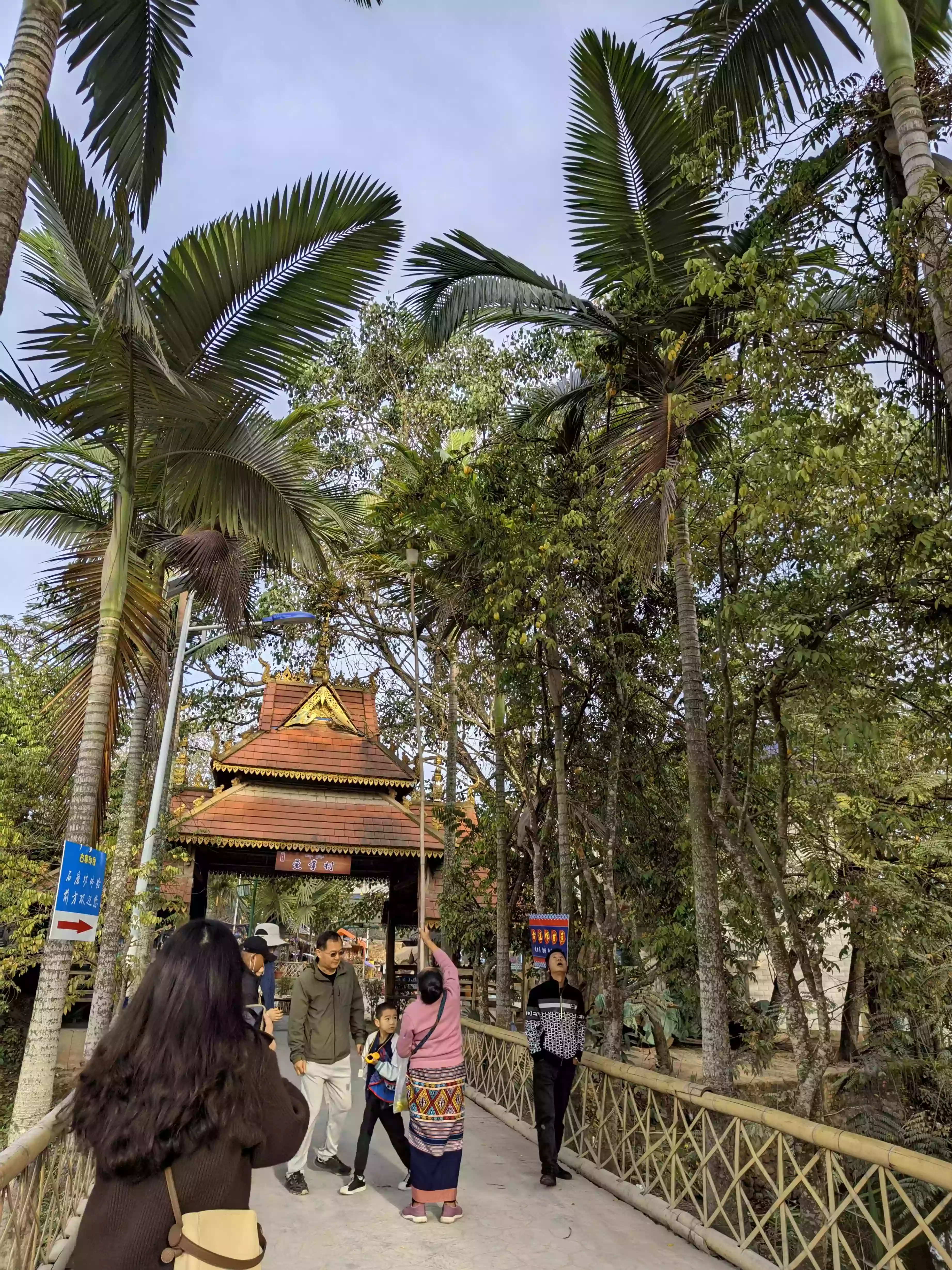 CRnall_20240215_092321266