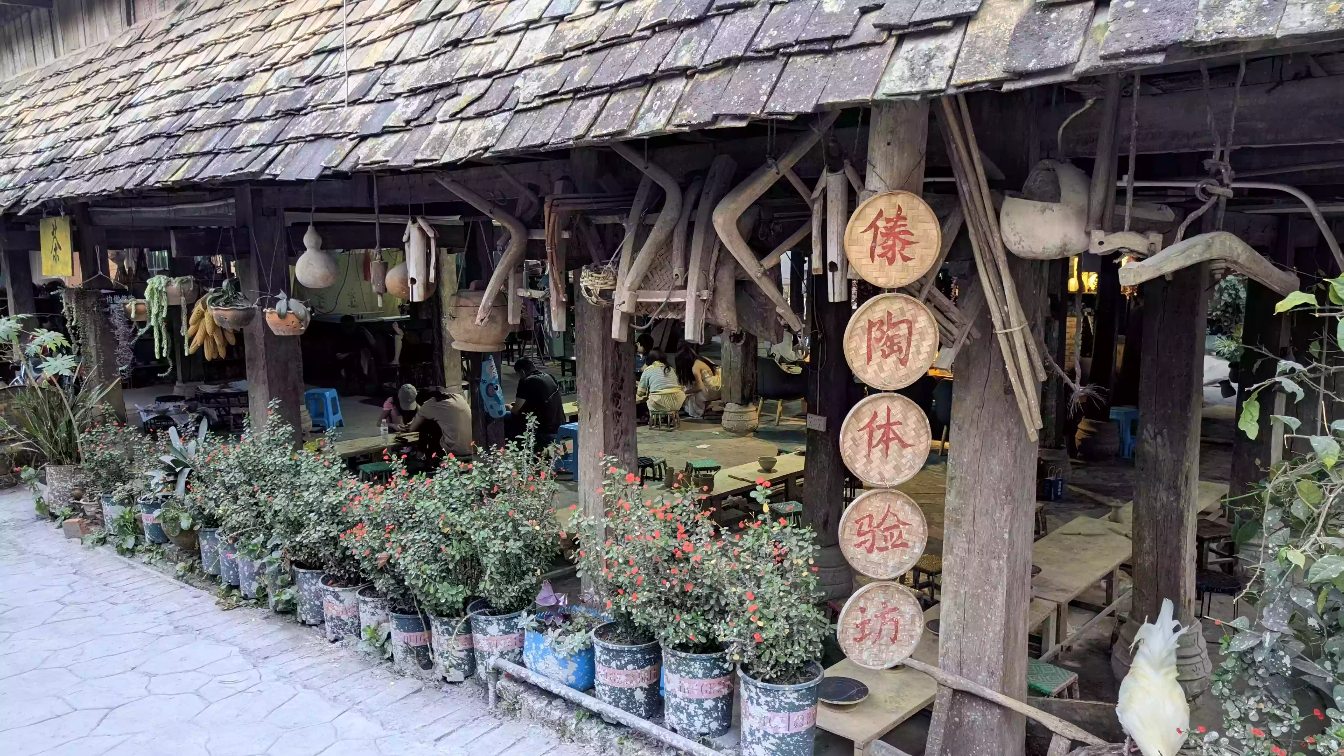 CRnall_20240215_185245775