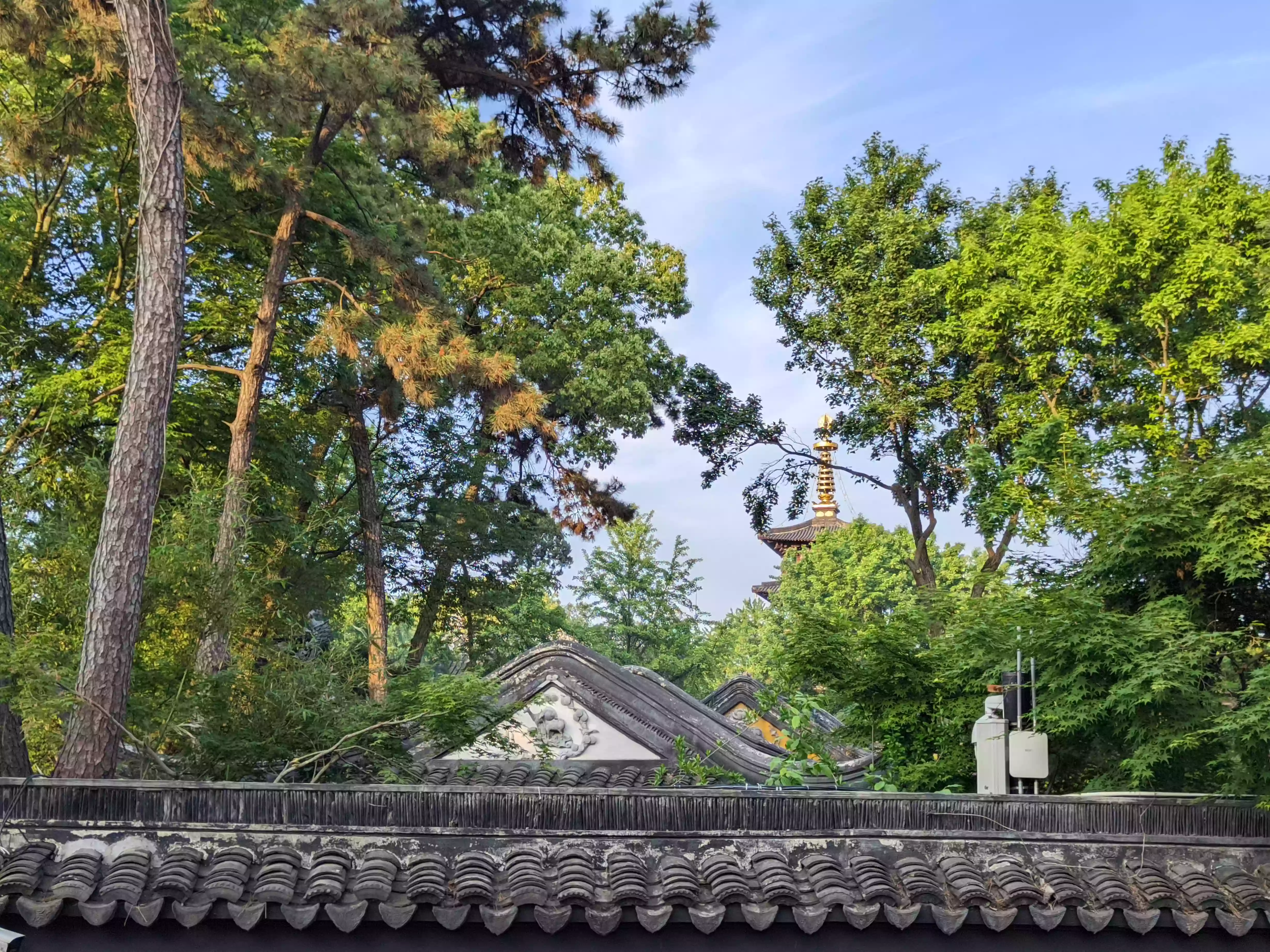 CRnall_20240502_174750274