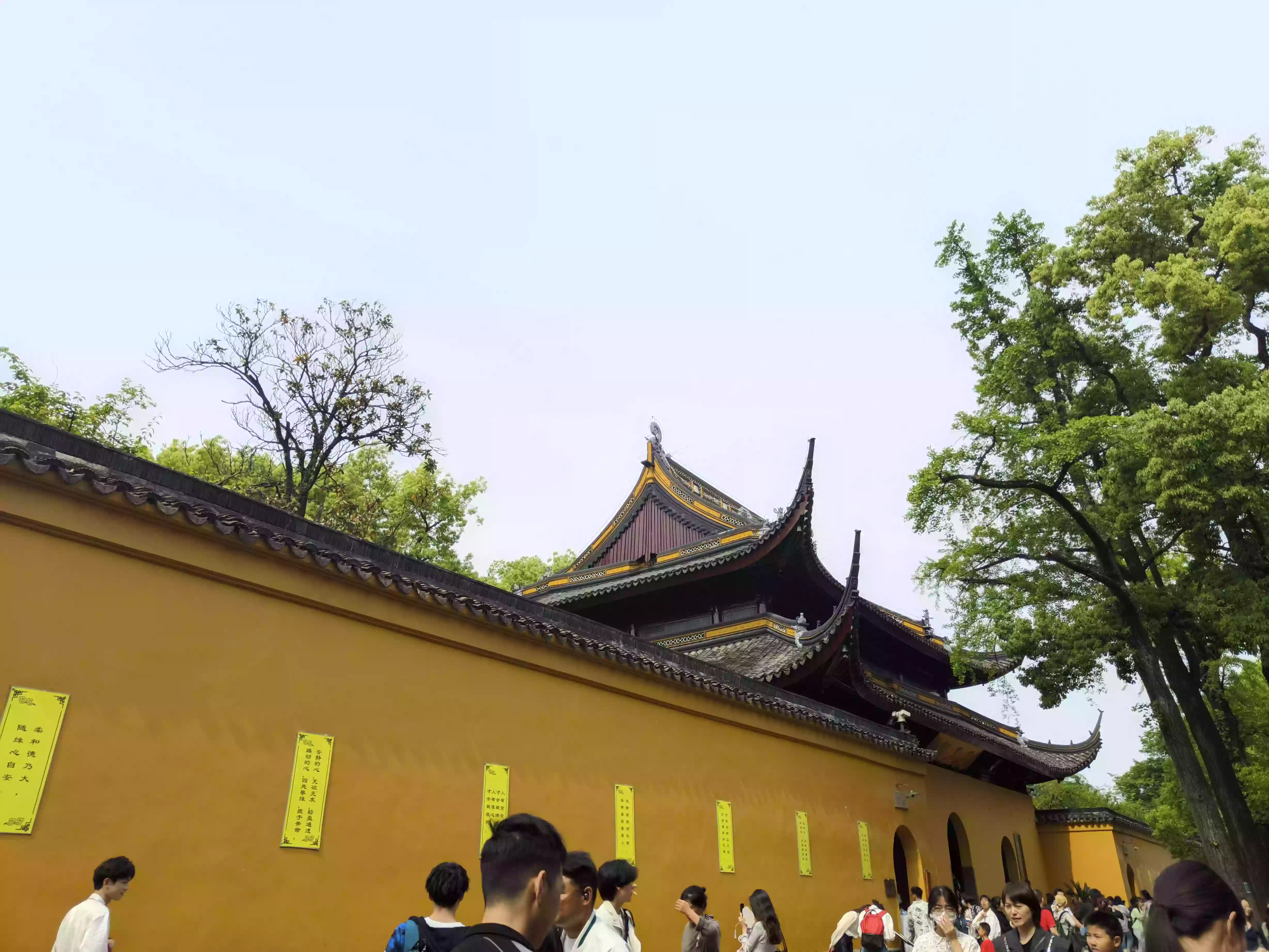 CRnall_20240503_143734886